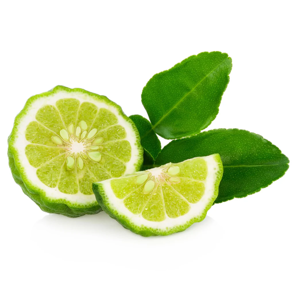Kaffir Lime